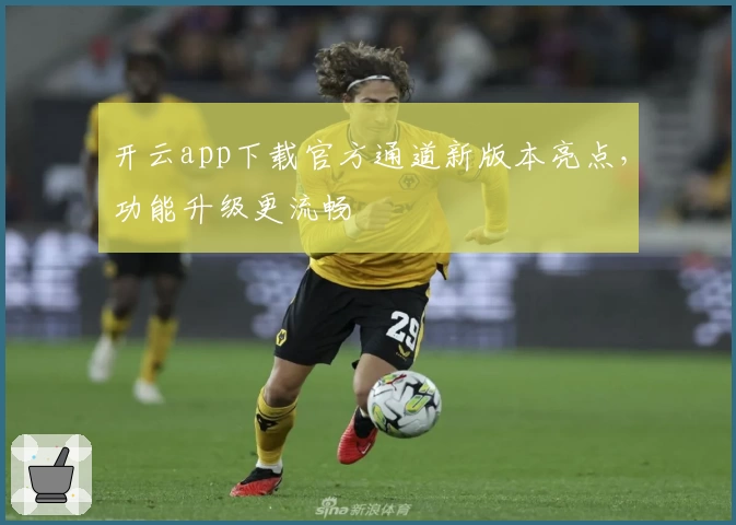 开云app下载官方通道新版本亮点，功能升级更流畅