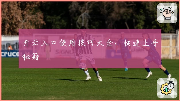 开云入口使用技巧大全，快速上手秘籍