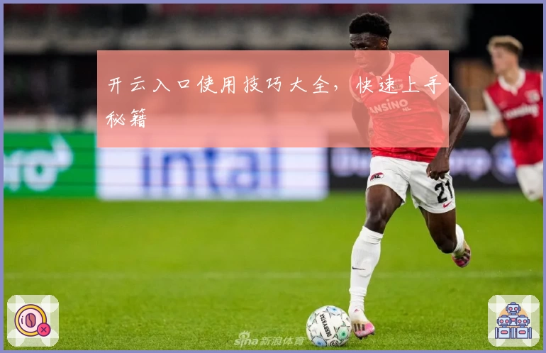 开云入口使用技巧大全，快速上手秘籍