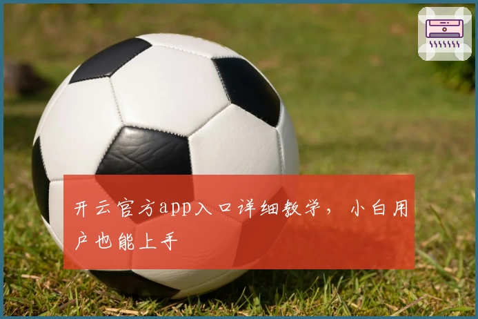 开云官方app入口详细教学，小白用户也能上手