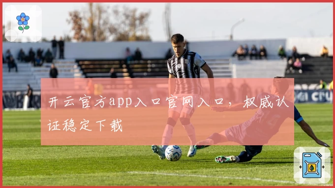 开云官方app入口官网入口，权威认证稳定下载