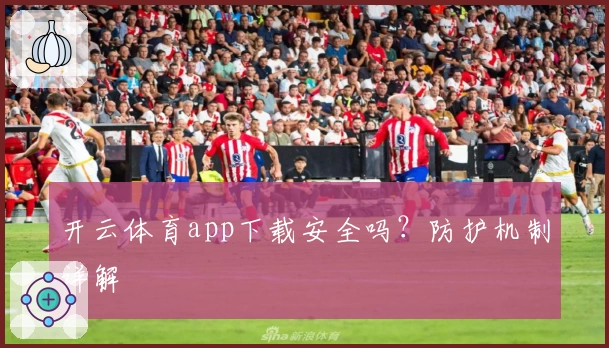 开云体育app下载安全吗？防护机制详解