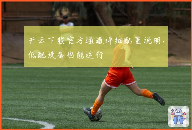 开云下载官方通道详细配置说明，低配设备也能运行