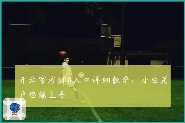 开云官方app入口详细教学，小白用户也能上手